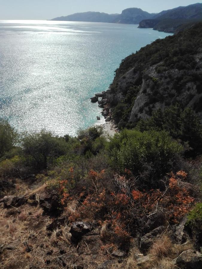 Monolocale Marizzola Appartement Cala Gonone Buitenkant foto