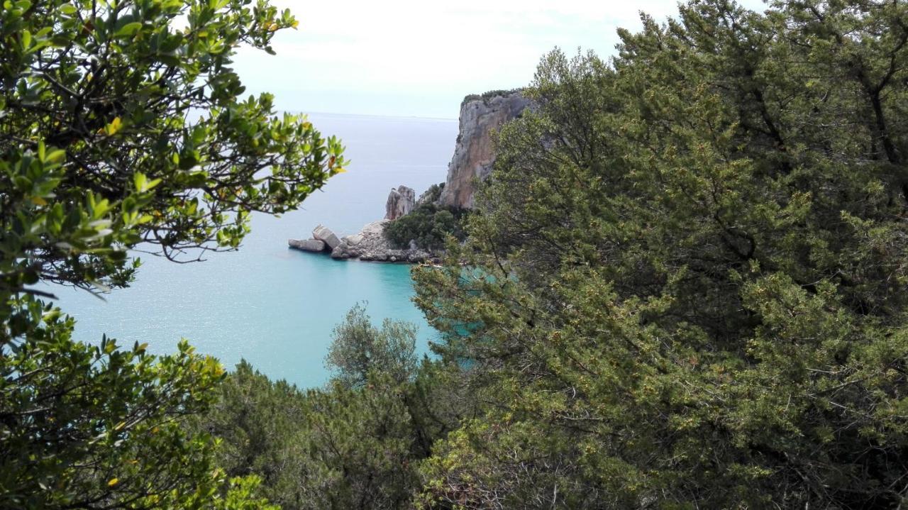Monolocale Marizzola Appartement Cala Gonone Buitenkant foto