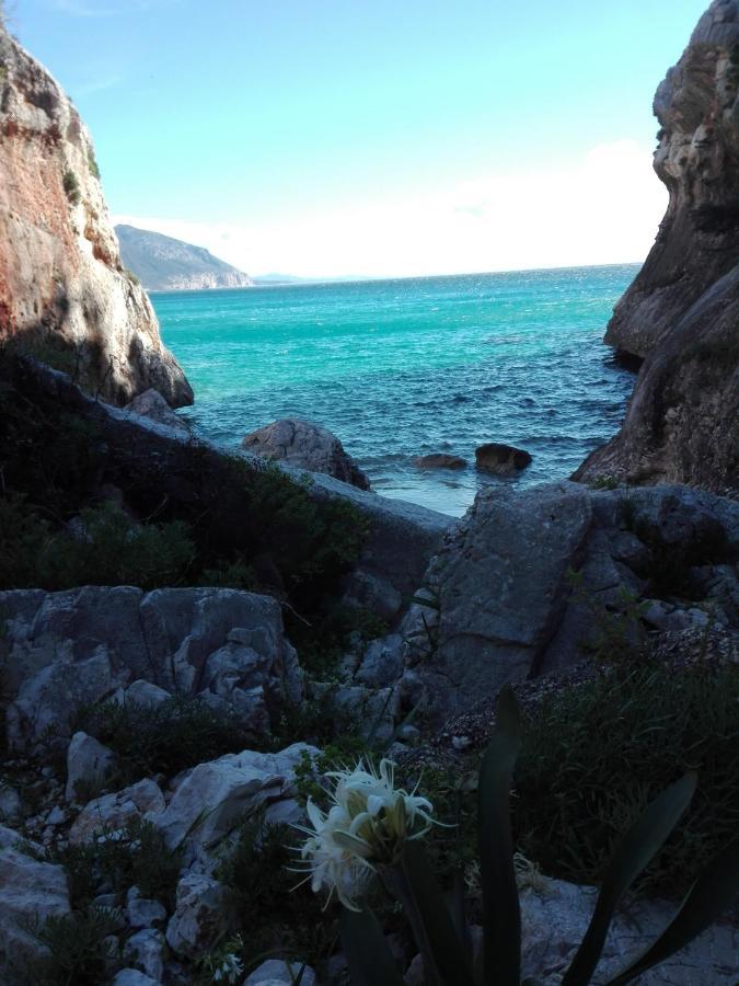 Monolocale Marizzola Appartement Cala Gonone Buitenkant foto